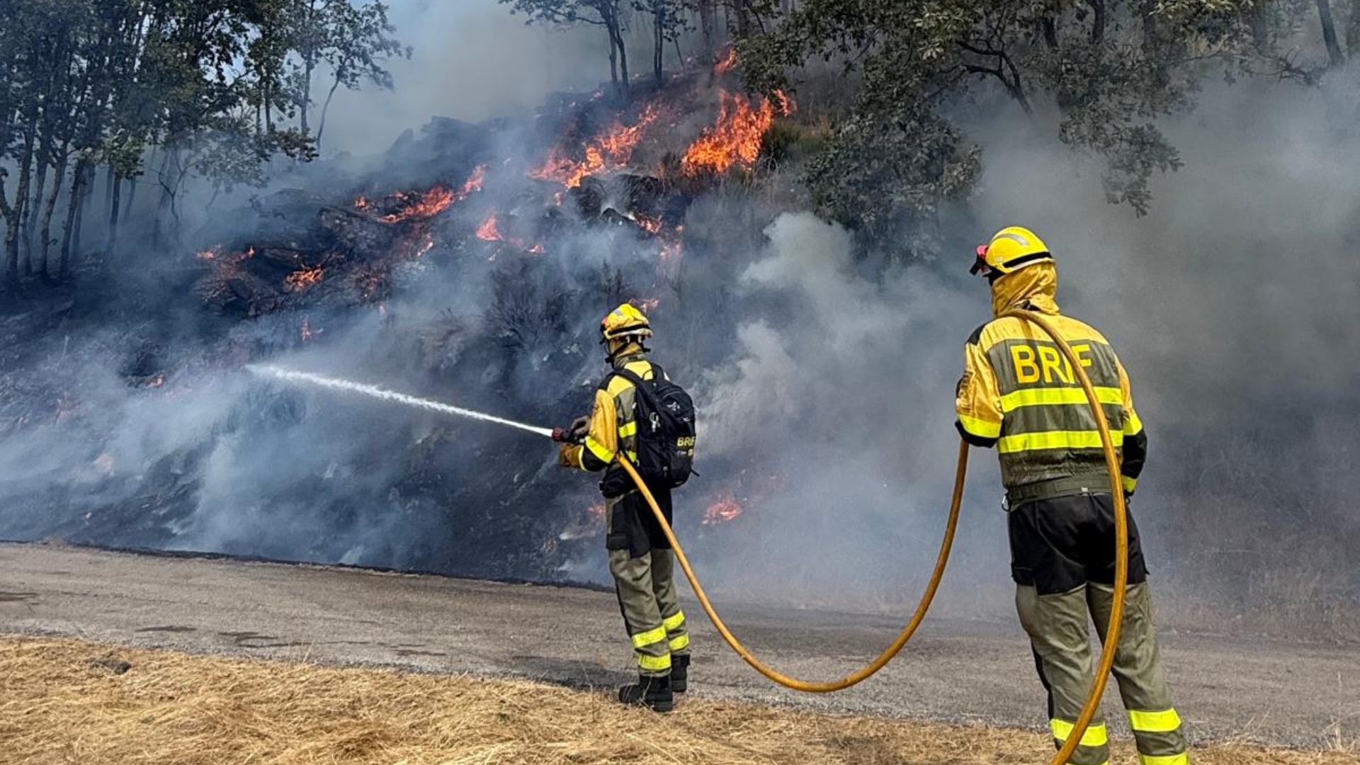 Incendios Galicia BRIF