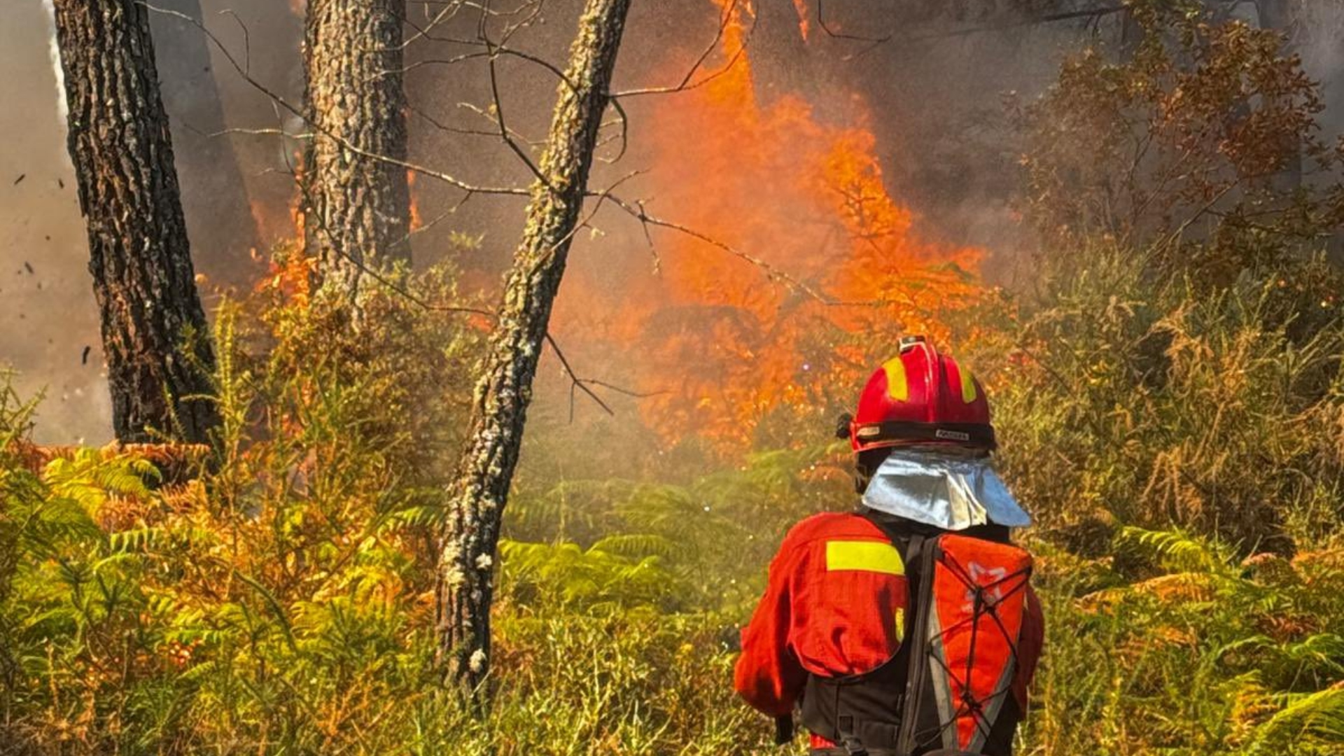 Incendios Galicia UME