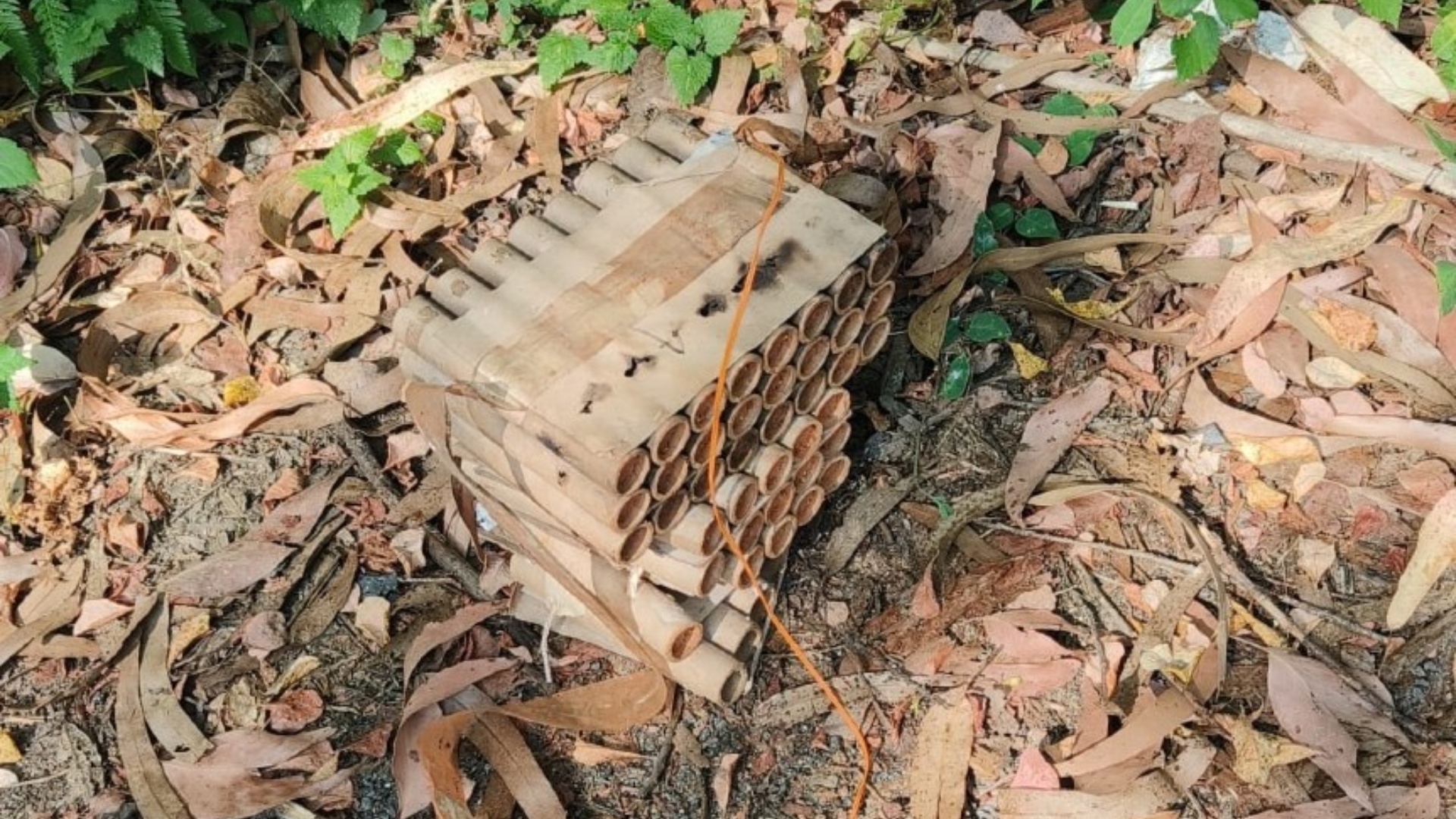 El material explosivo encontrado en un  | CONCELLO DE VIMIANZO