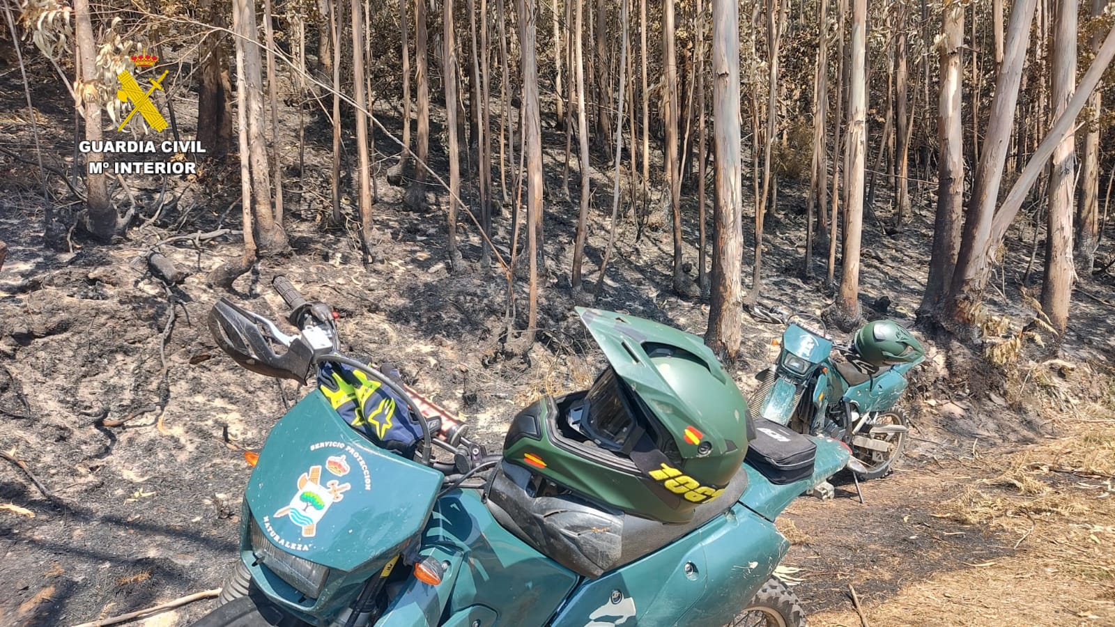 Detenido un vecino de Mazaricos como presunto autor de un incendio en la zona | GUARDIA CIVIL