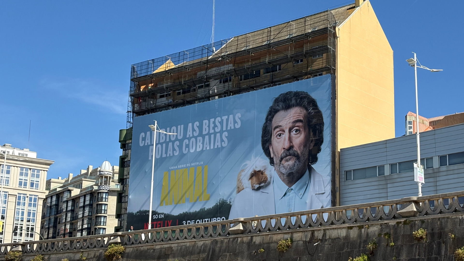 Cartel de 'Animal' de Luis Zahera en A Coruña