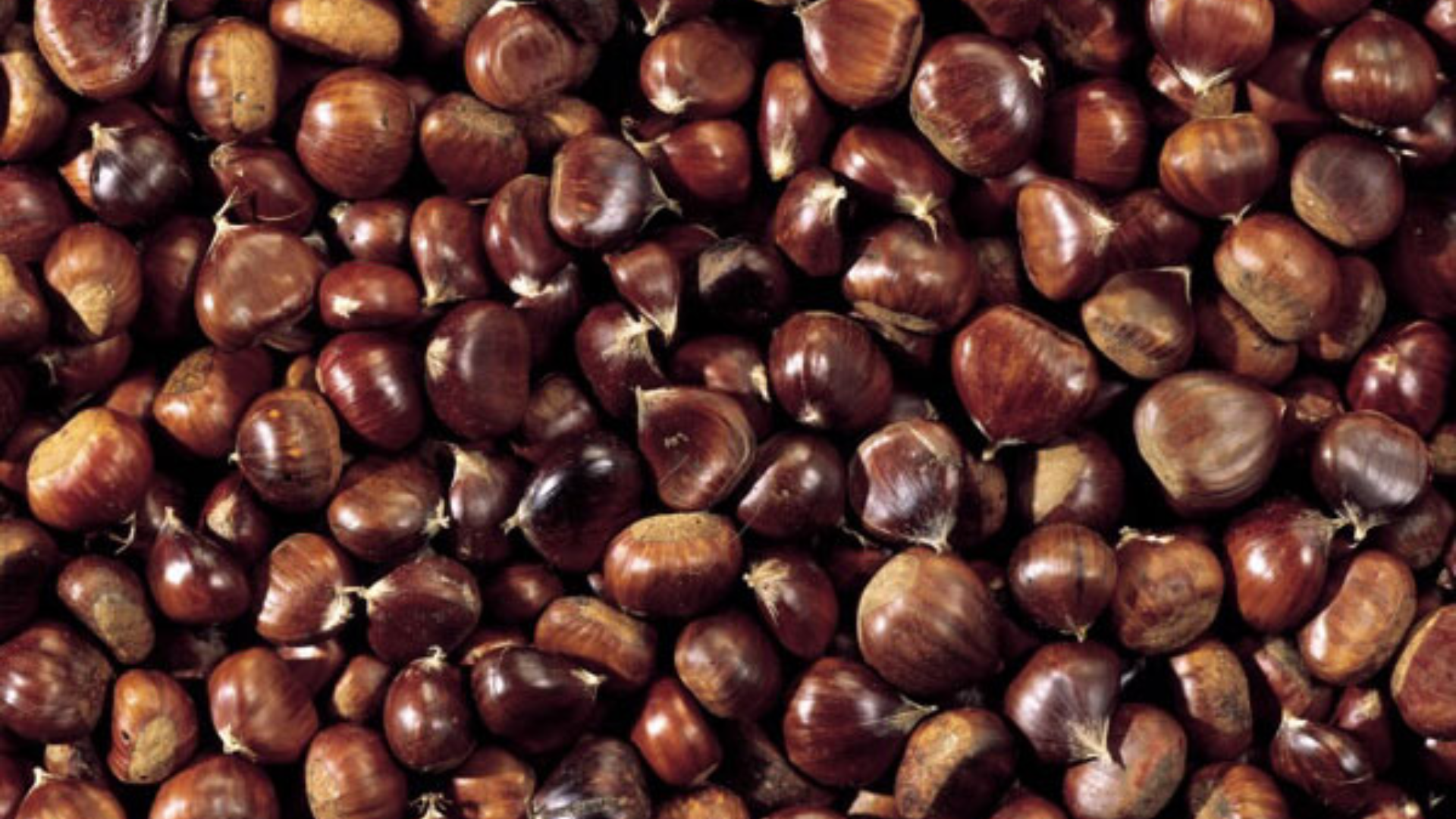 Castañas