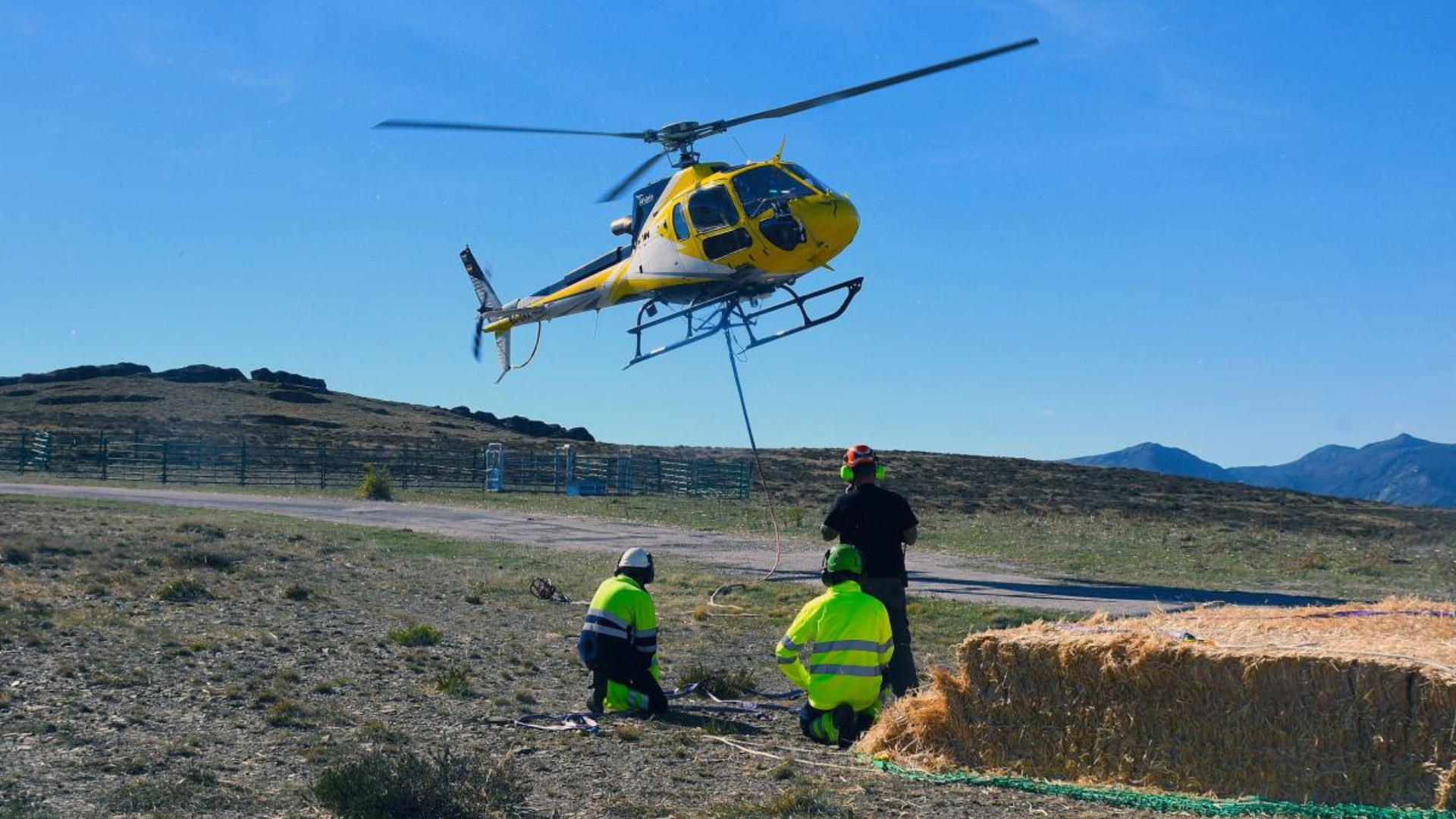 Reparto de alimento para alimentar a la fauna silvestre afectada por el fuego