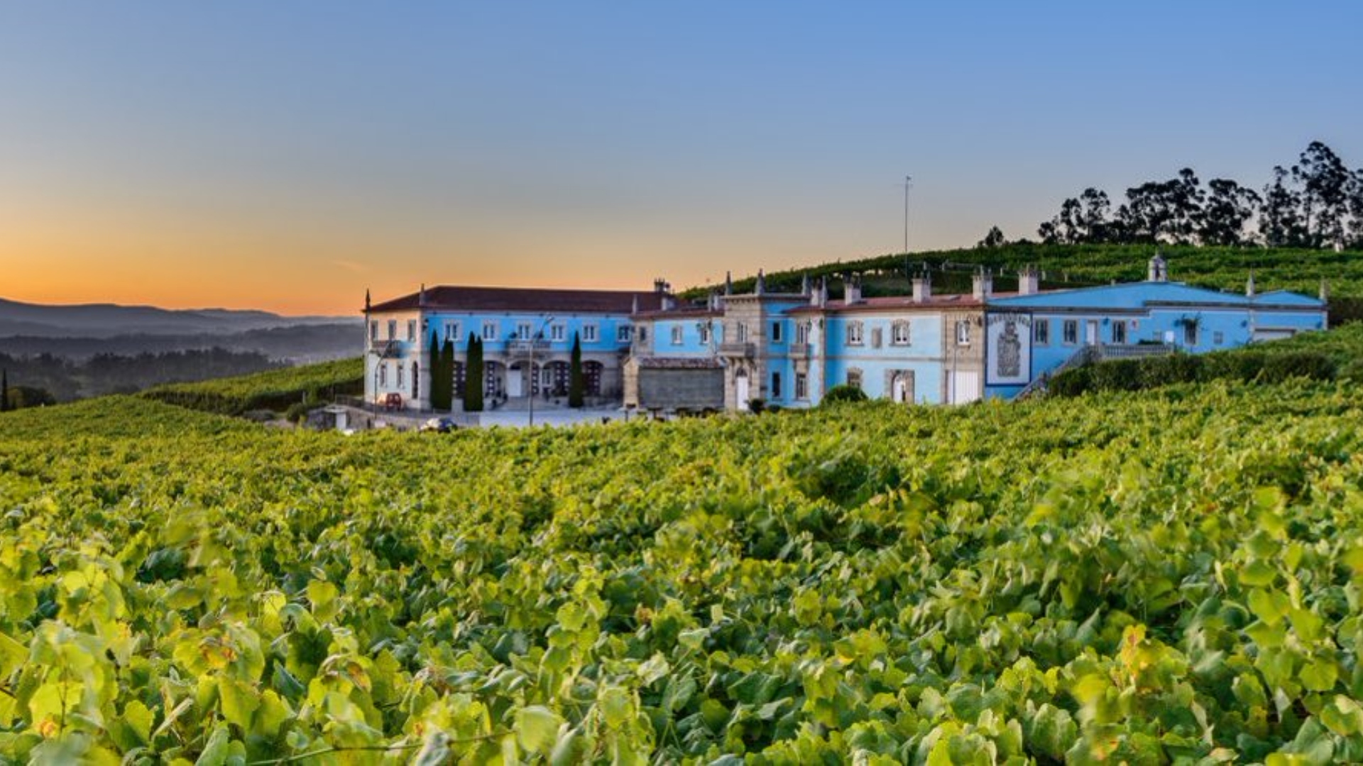 Bodegas Granbazán Vilanova de Arousa Val do Salnés Albariño