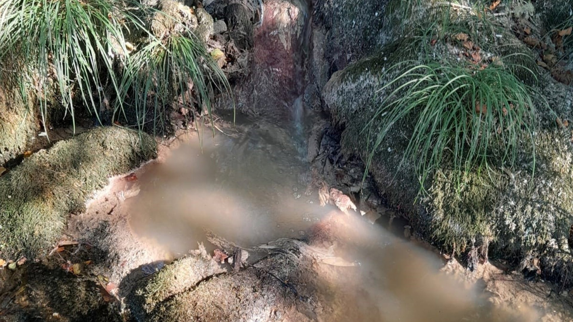 Vertido aguas residuales Río Oitavén