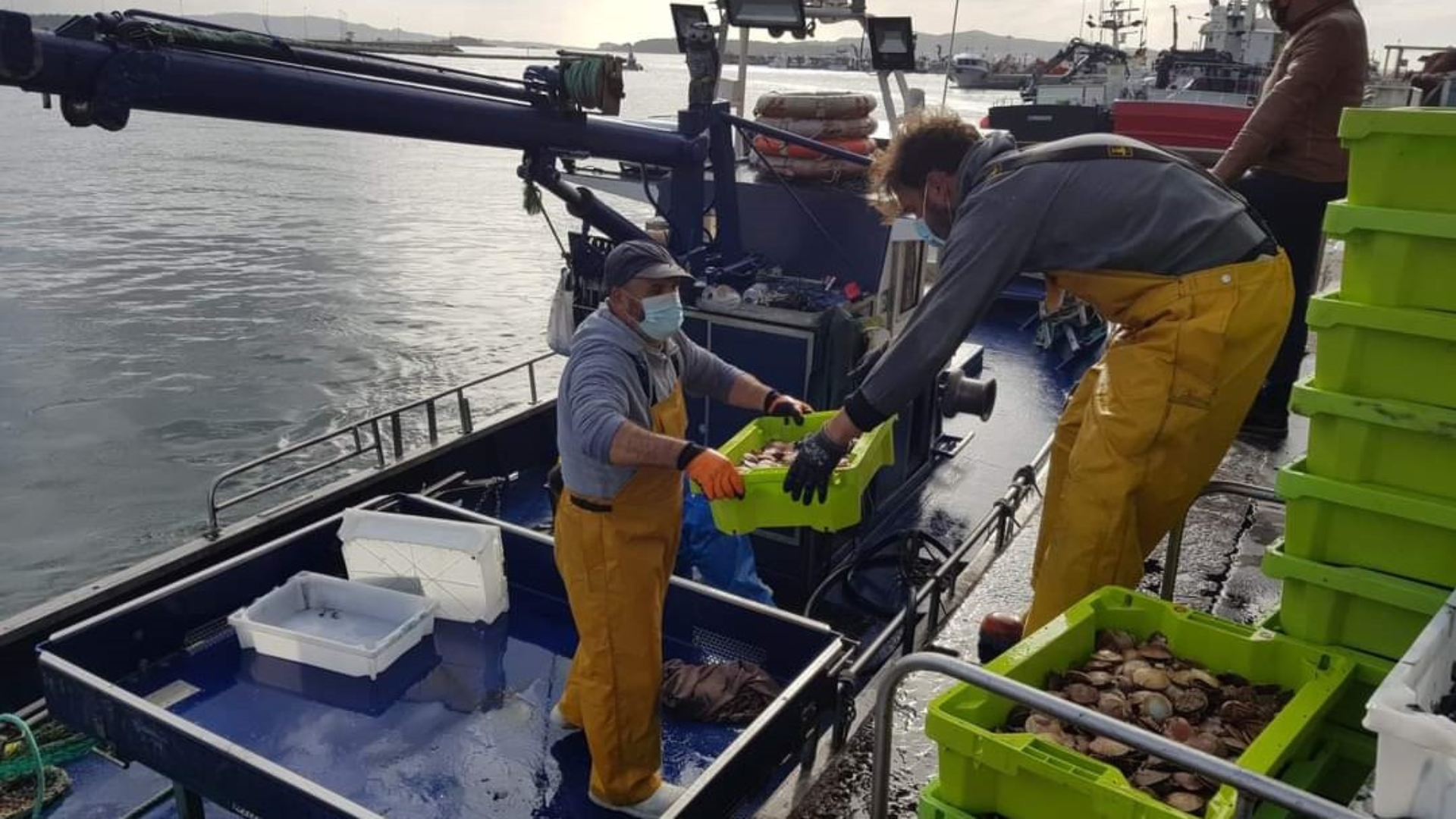 Galicia inicia la campaña de bou para la pesca de volandeira y zamburiña