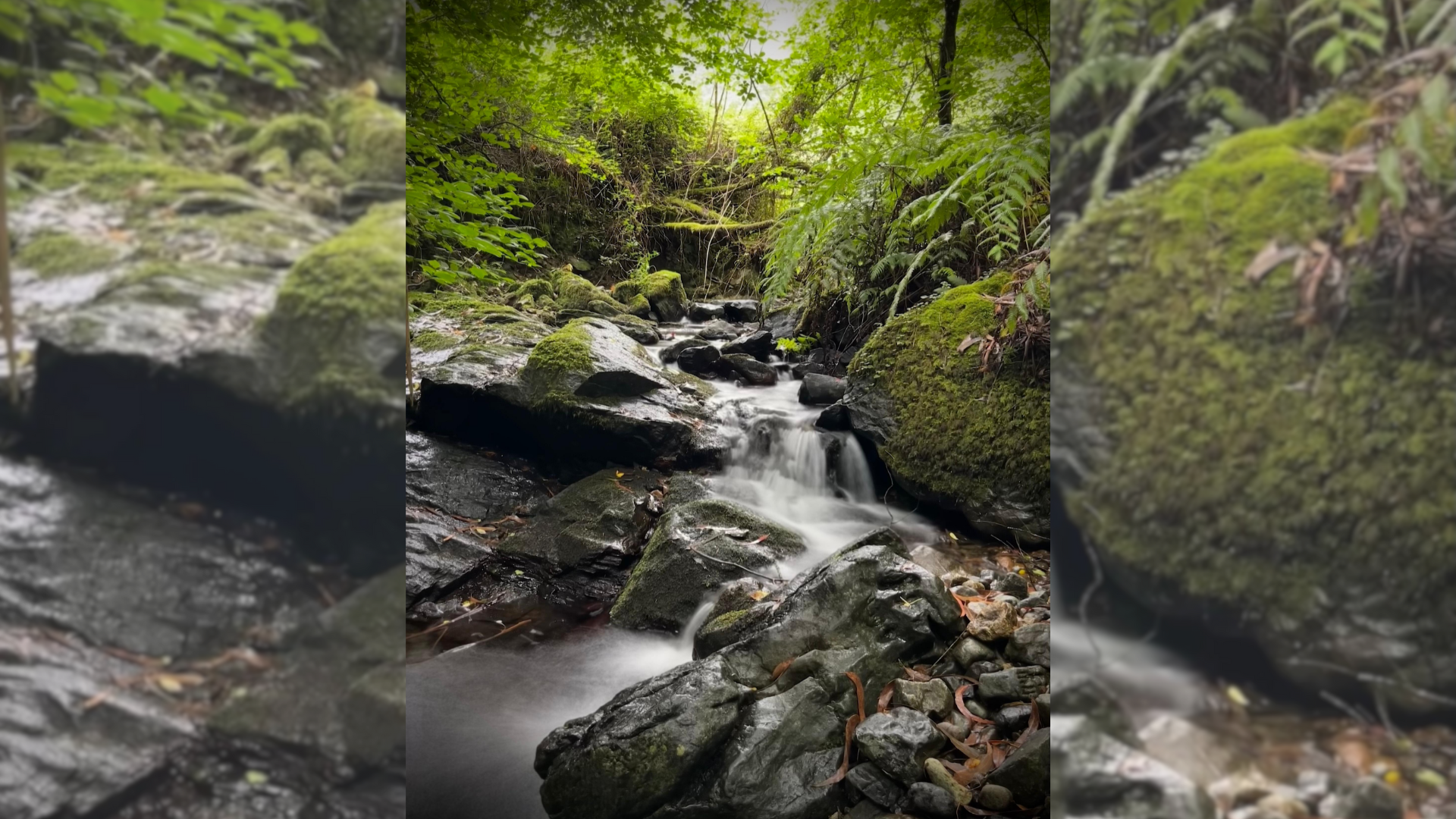 Valdoviño inaugura en Vilarrube su primer sendero equipado