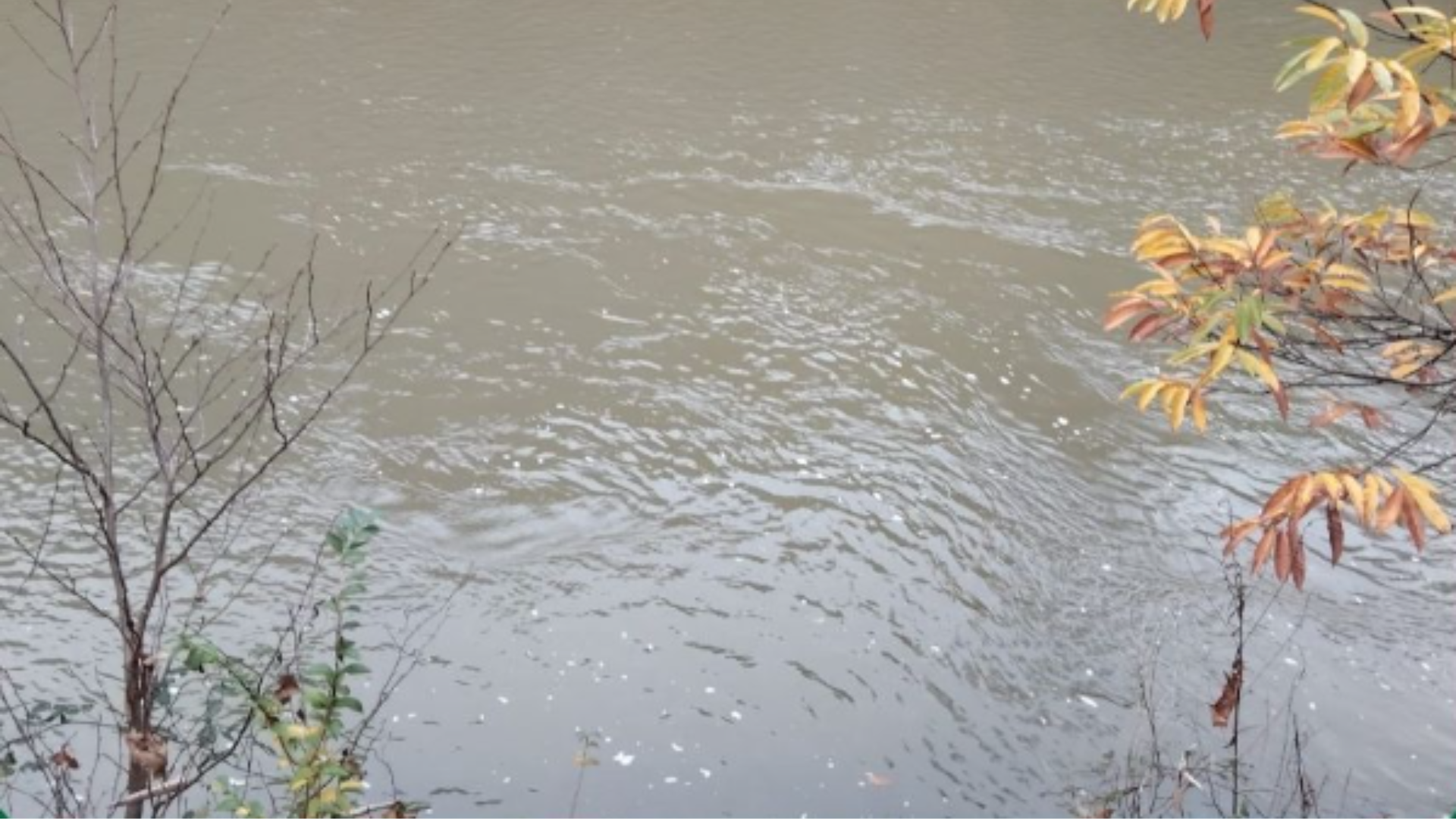 Pontedeume investiga un episodio de turbidez en el río Eume