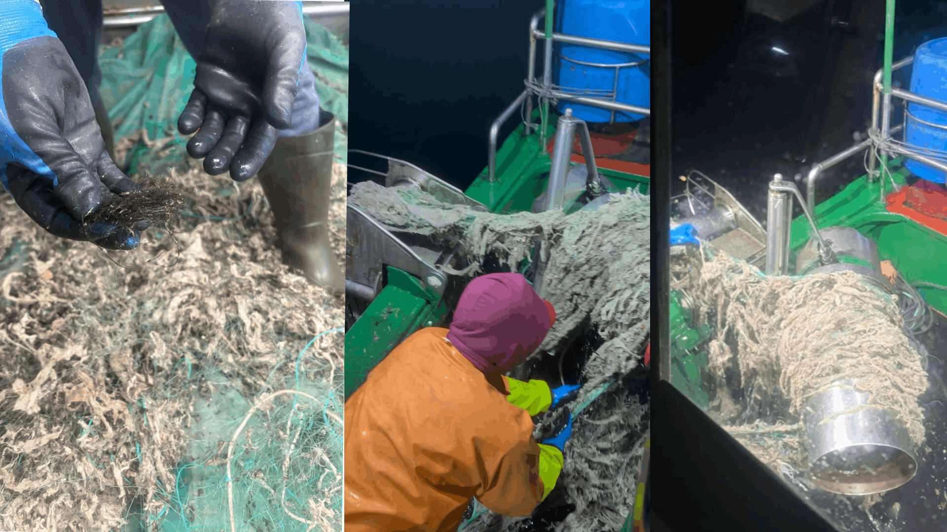 Entre los residuos adheridos a los miños figuran productos de higiene personal identificables, fibras textiles sintéticas, fragmentos plásticos y restos orgánicos humanos