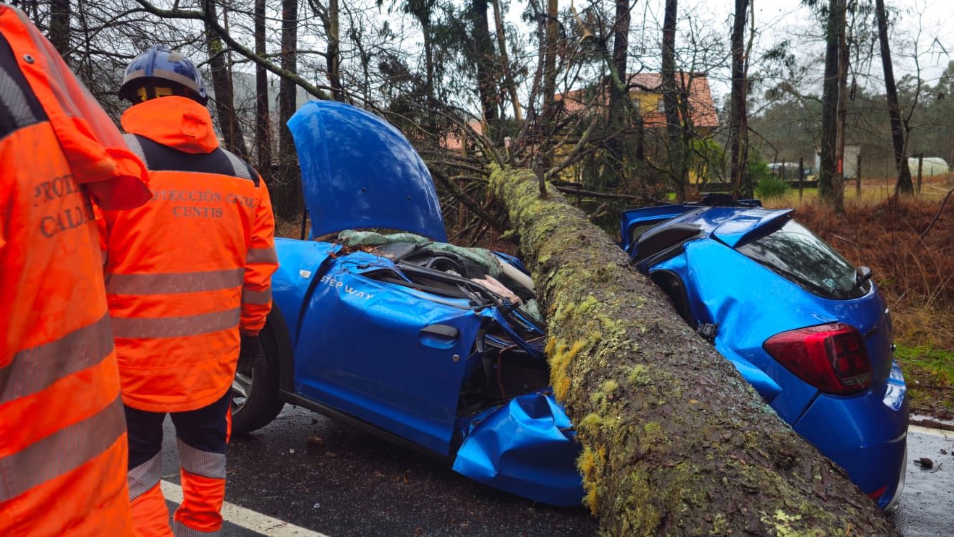 Caldas pino 3.000 kilos