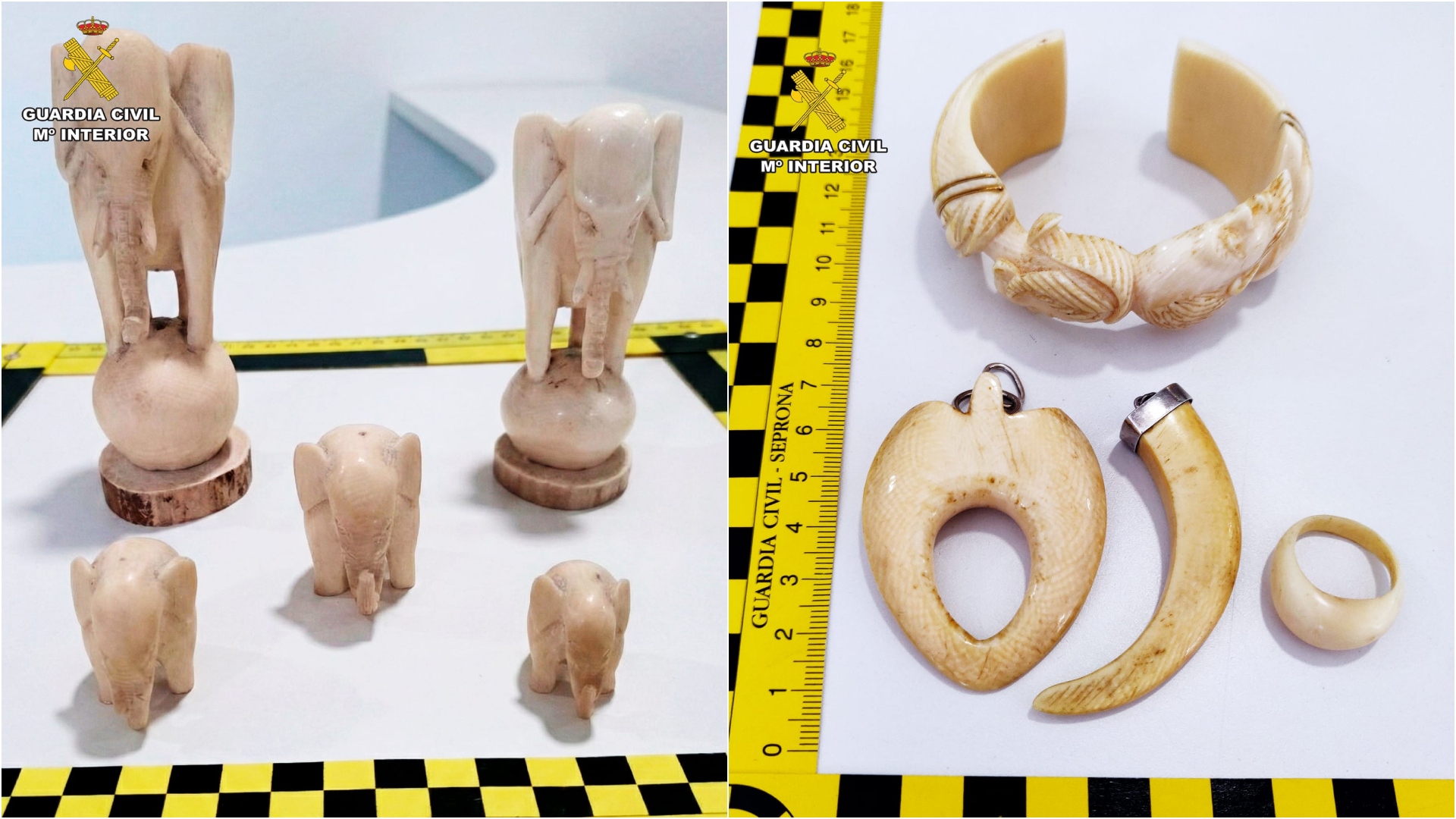 Guardia Civil Marfil Coruña Neda