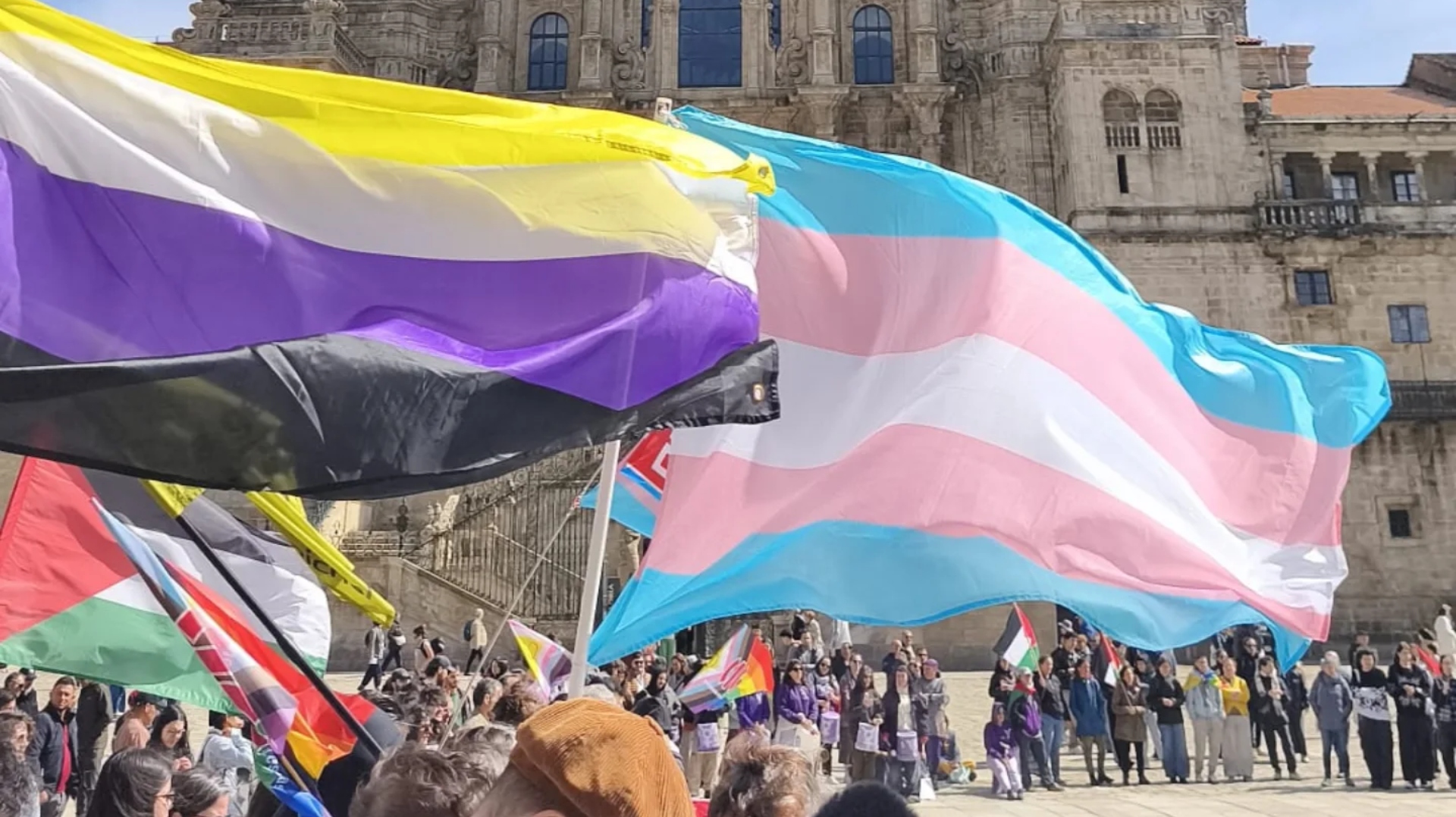 Arelas manifestación trans Santiago