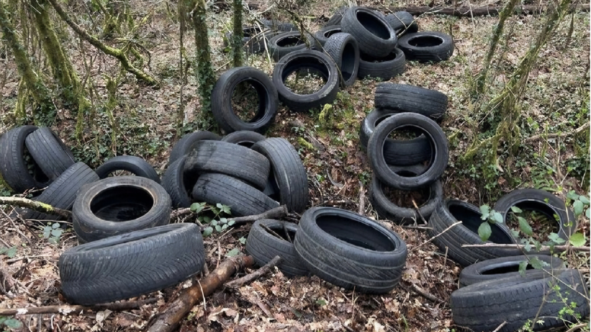 Vertido ilegal de neumáticos en Vilarmaior