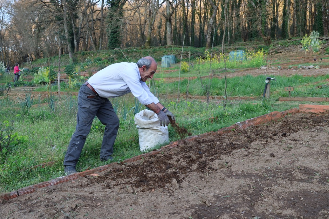 Os hortos urbanos, un exemplo de sustentabilidade no corazón da cidade
