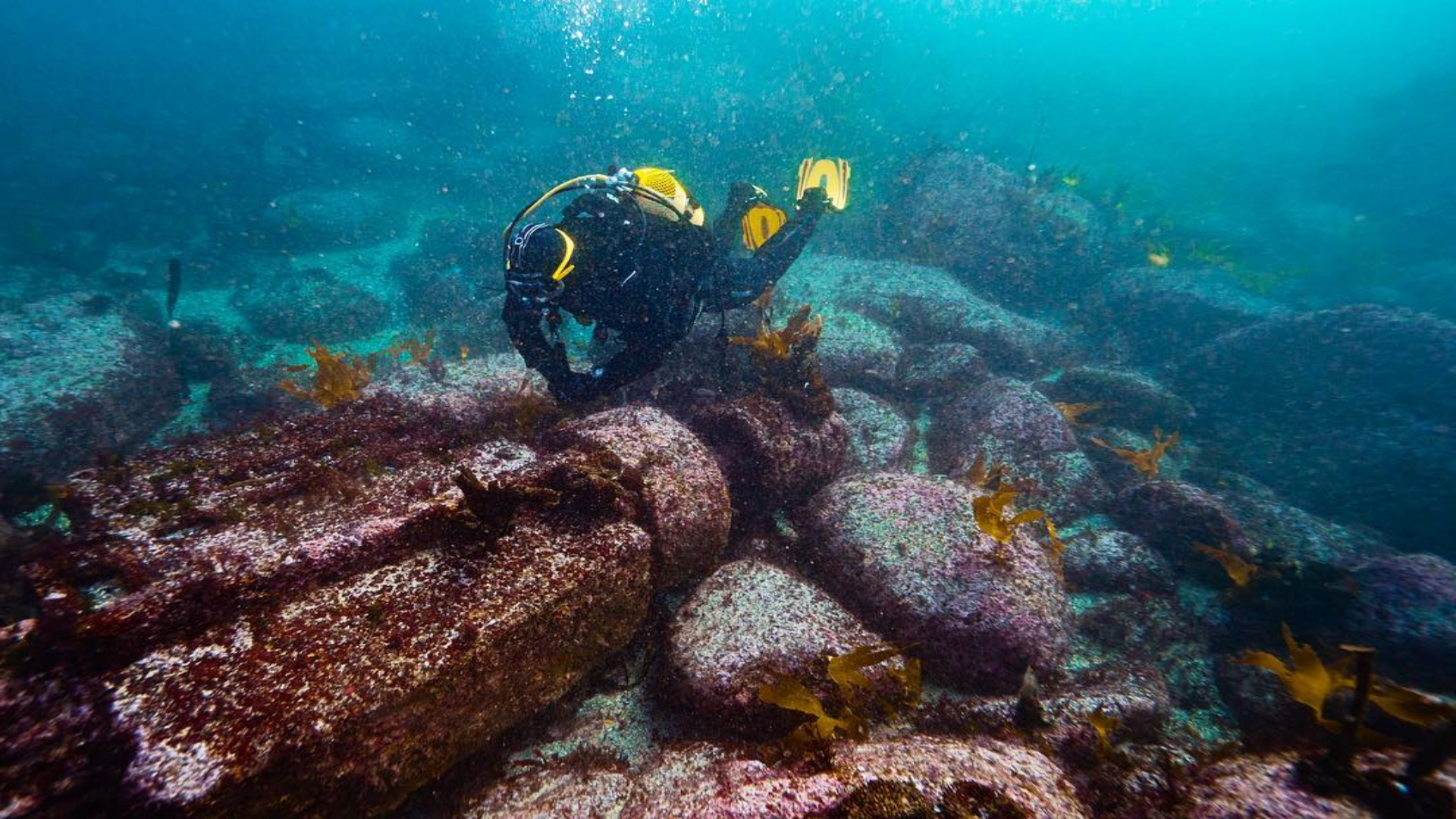 Náutica Medusa en una inmersión por la ría de Arousa | @xbeiro