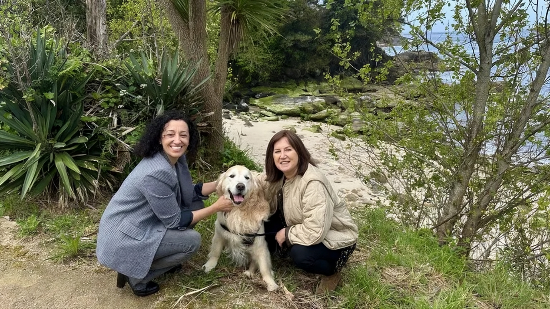 Futura playa canina de Marin