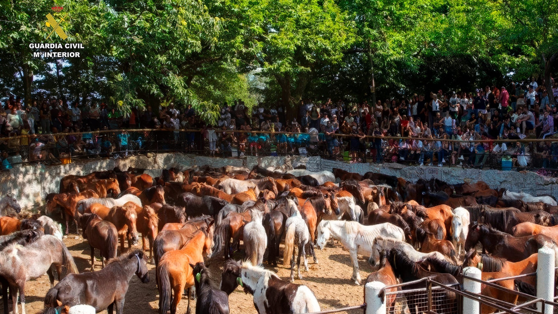 Guardia Civil caballos operación Besteiros sierra del Barbanza