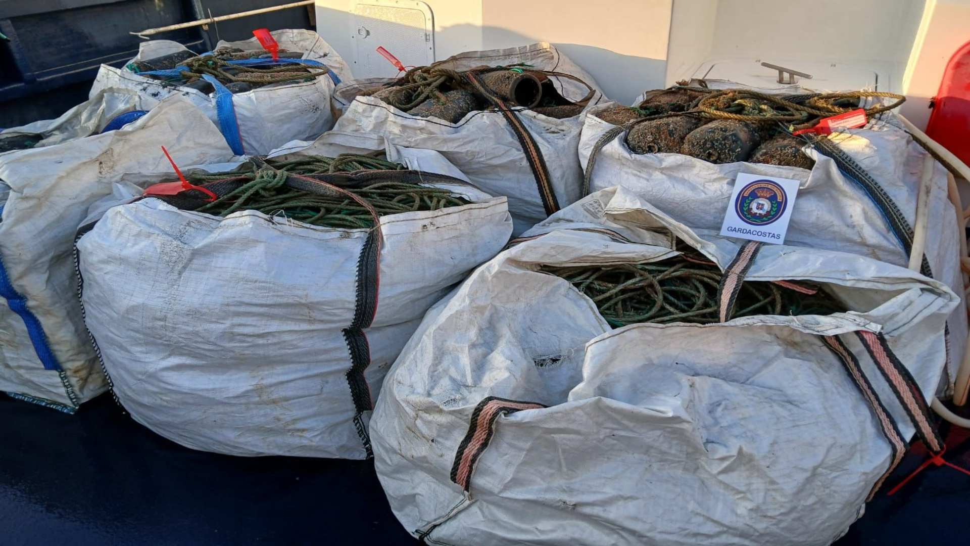 Marisco e peixe decomisados durante o último operativo | Gardacostas Galicia