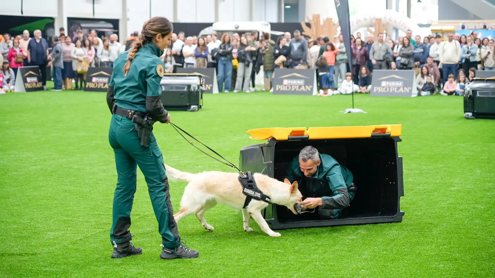 Foto da anterior edición de Pata Pata | EXPOCoruña