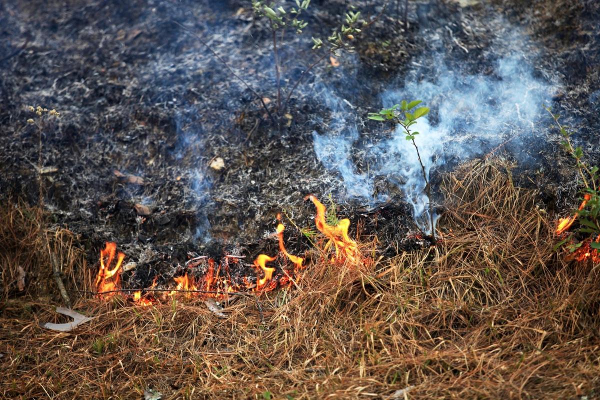 Imagen de una quema agrícola | Xunta de Galicia