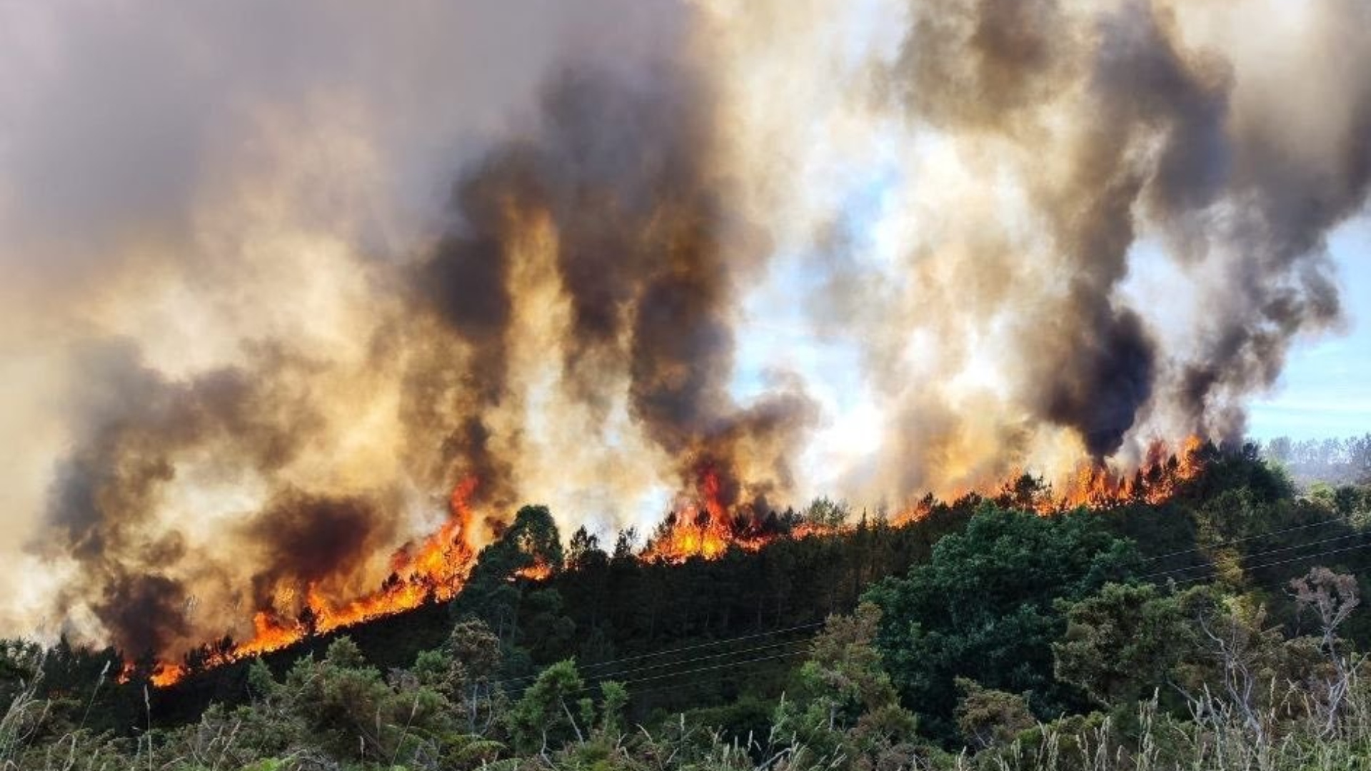El incendio forestal en Herbón, en Padrón | @LUMESGAL