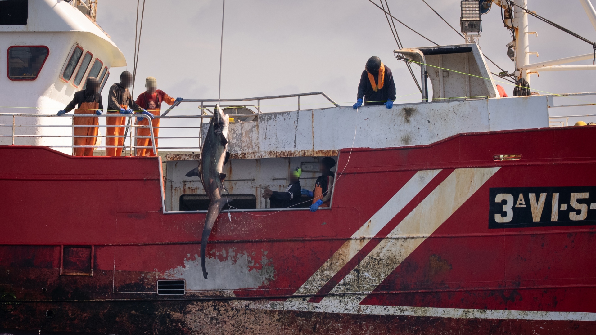 pesca ilegal