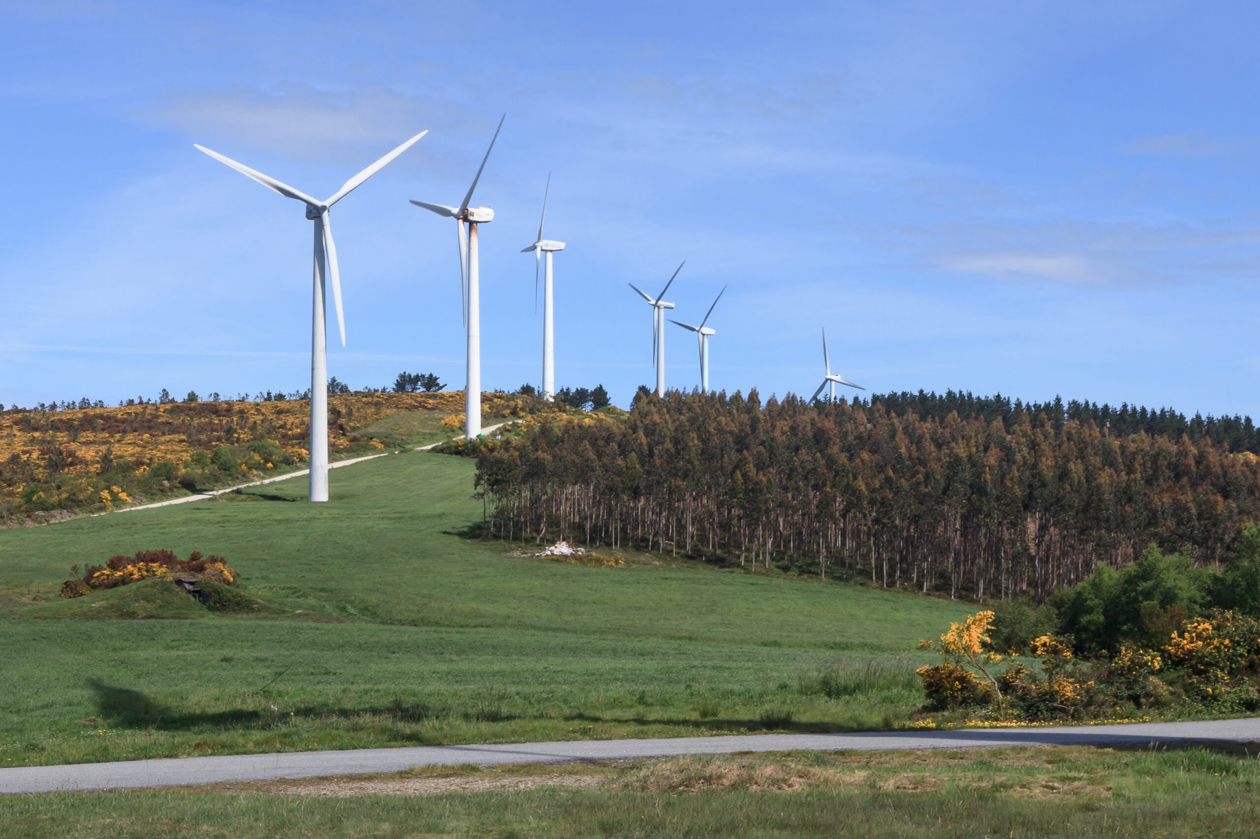 La sentencia anula el permiso concedido por el Gobierno a Endesa y concluye que el estudio ambiental solo analizó de forma suficiente el impacto paisajístico