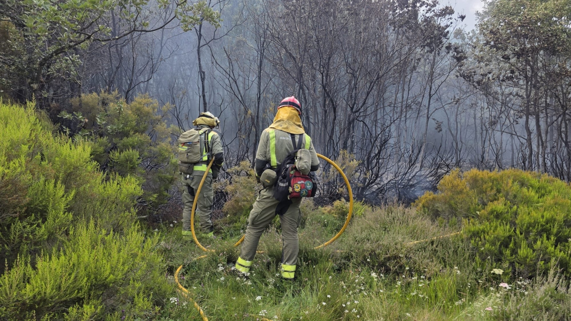 Bomberos gallegos desplegados en los incendios de León, Ávila y Madrid | XUNTA