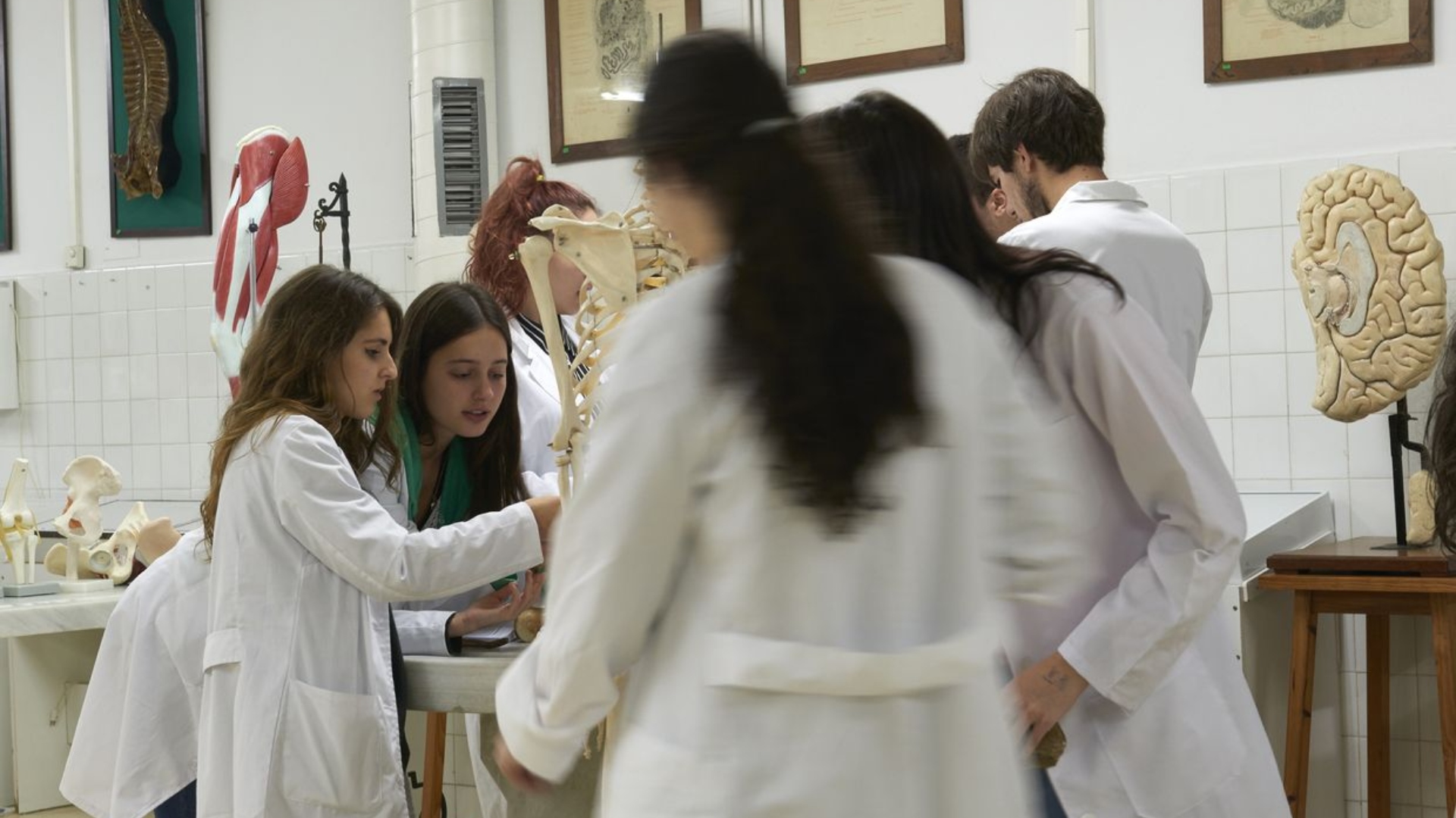 Grado Medicina Universidade de Santiago de Compostela USC