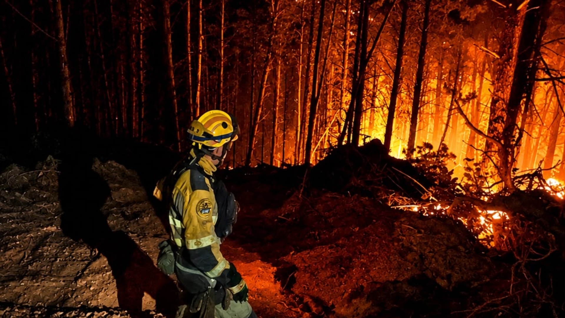 Incendio Ribas de Sil