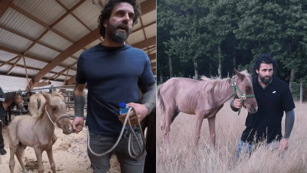 Javier Otero, conocido en redes como Anubis Dimitri, junto a Fiuncho, el potro del que se hizo cargo tras encontrarlo en una feria caballar celebrada en el recinto de Amio, en Santiago.