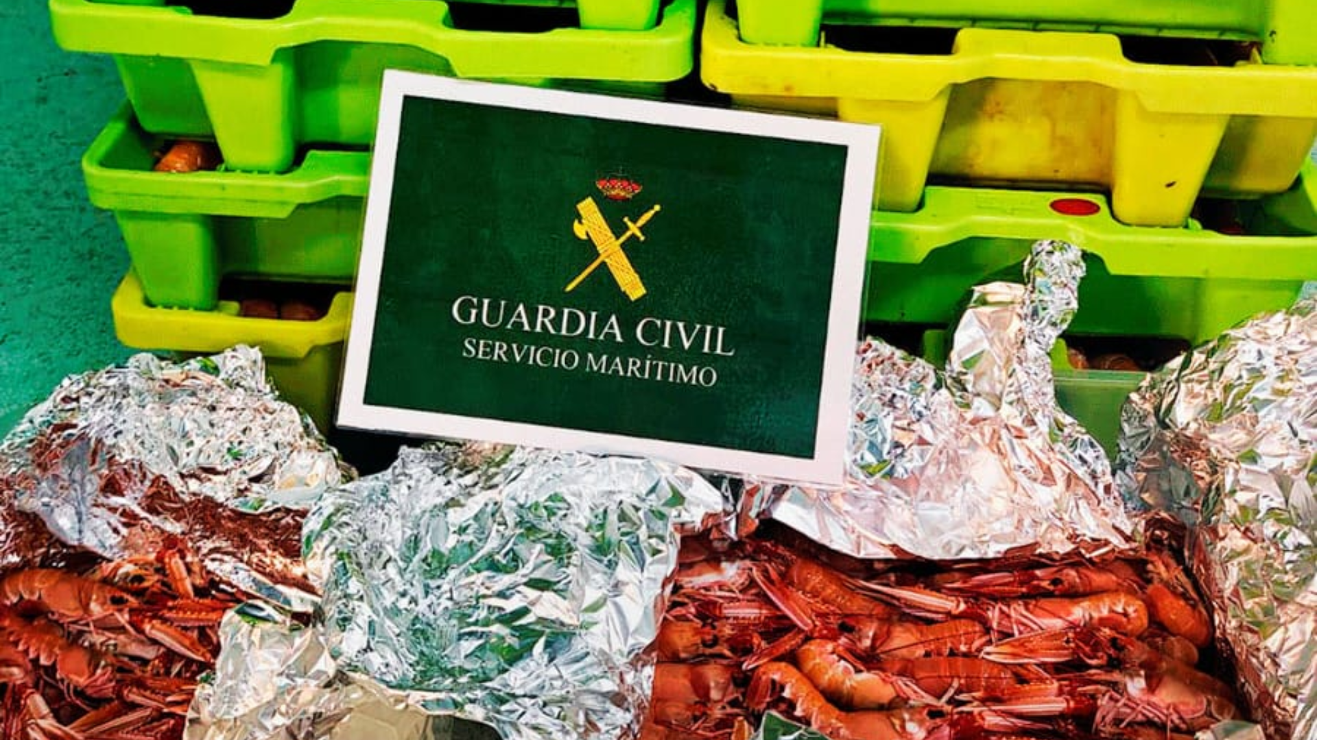 Imagen de las cigalas decomisadas | Guadia Civil