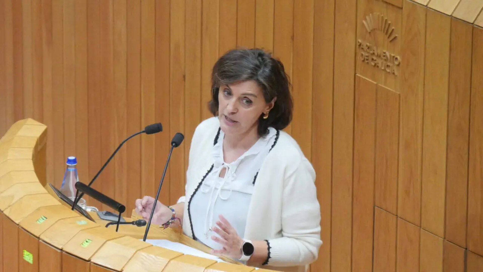 Montse Valcárcel, portavoz de Montes e Industrias Forestais del BNG en el Parlamento | BNG