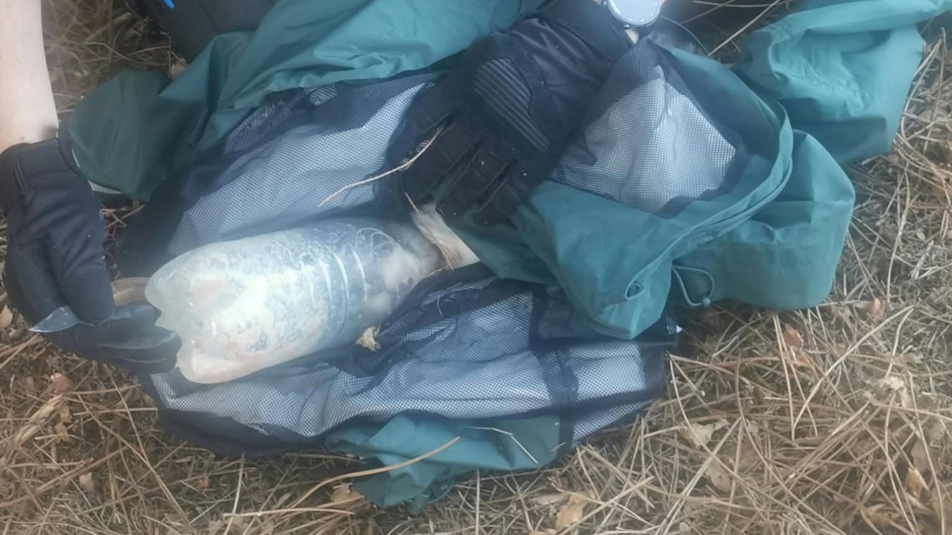 Guardia Civil gato atrapado botella Portomarín