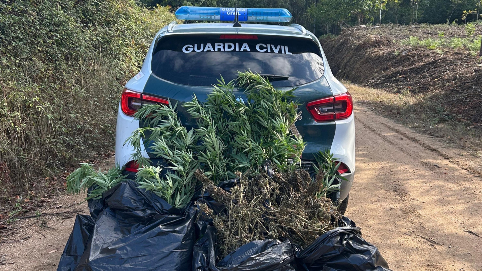Marihuana Guardia Civil Meis