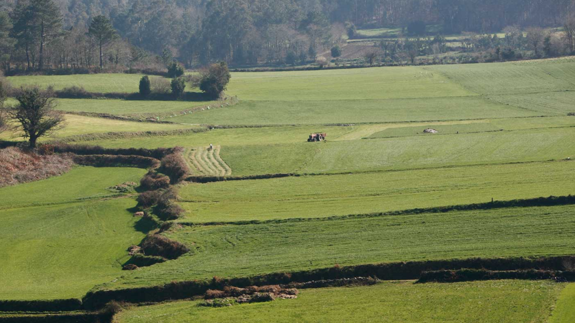 Vista aérea dunha zonal rural en Brión | Concello de Brión