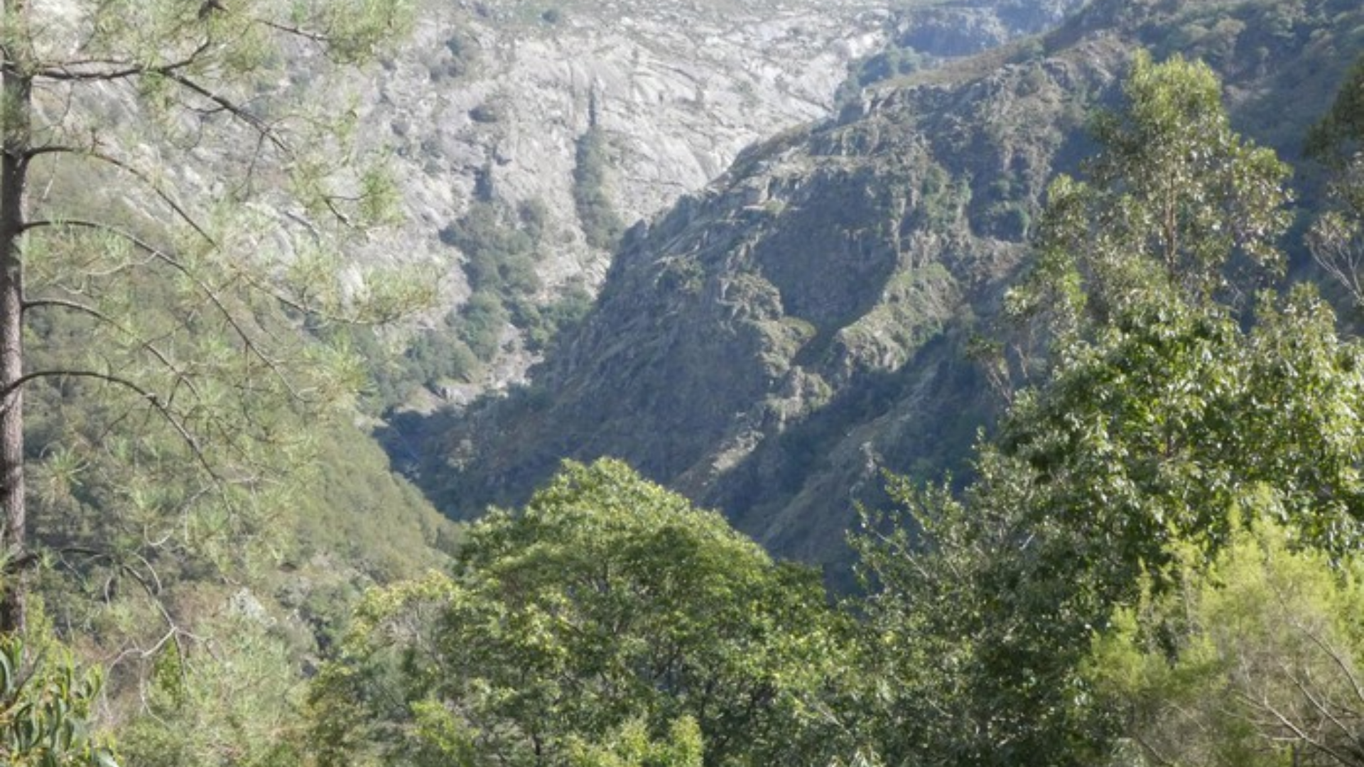 Cumios de Sanguiñedo | Wikiloc