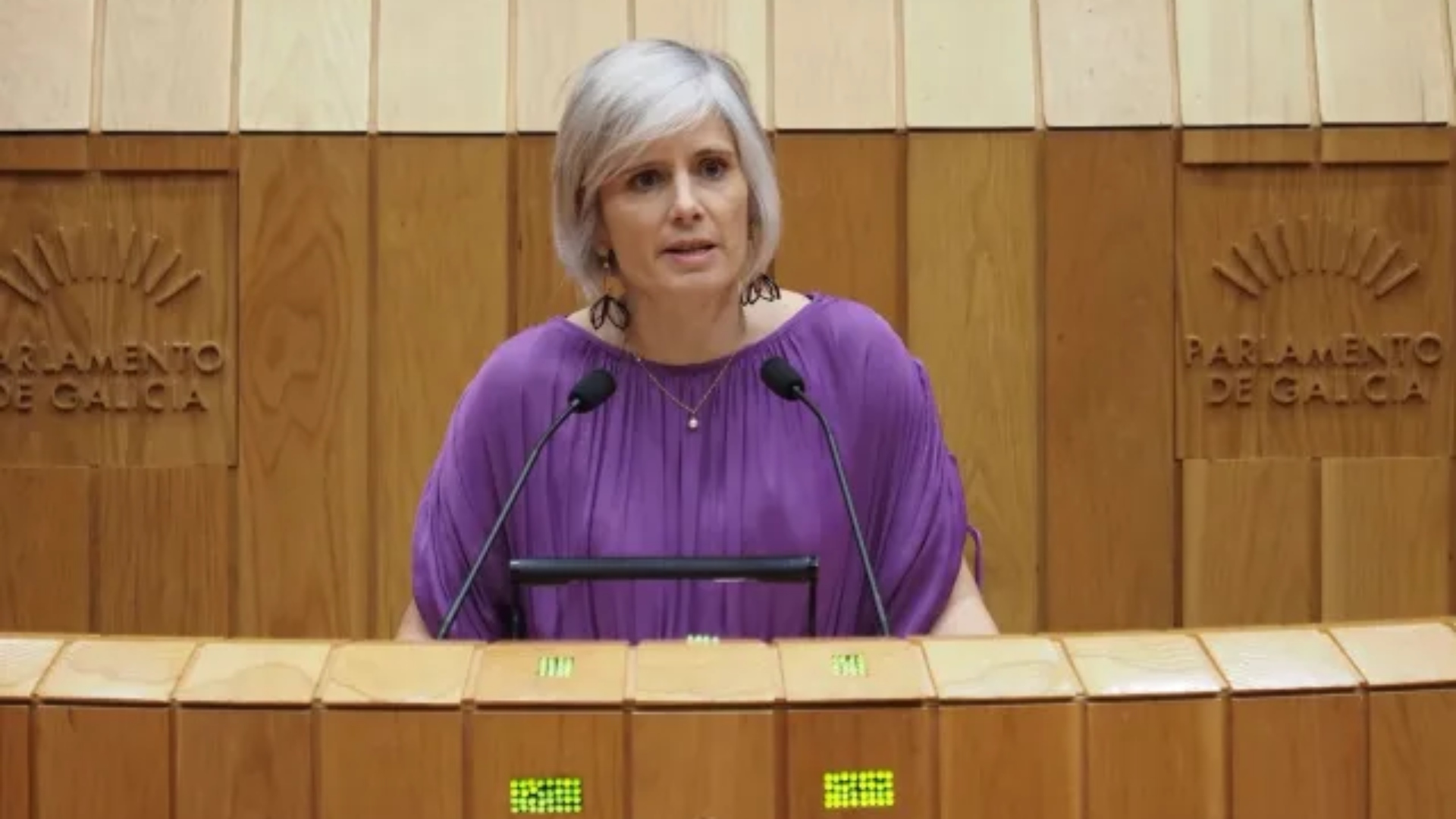 Patricia Iglesias PSdeG-PSOE Parlamento de Galicia