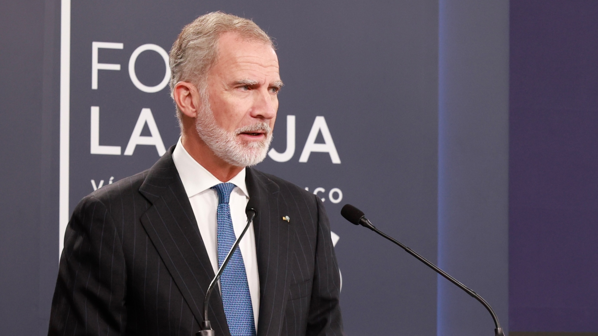 O rei Felipe VI durante a súa intervención | @CASAREAL.ES